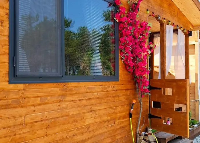 еко къщи градина Kamp alanı *