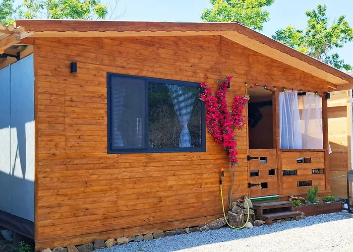 еко къщи градина